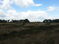 2014-05-14StrabrechtseHeide005