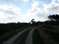 2014-05-14StrabrechtseHeide006