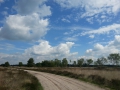 2014-05-14StrabrechtseHeide008