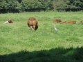 14-09-03 OOSTERHOUT (10)