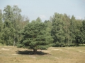 14-09-03 OOSTERHOUT (26)