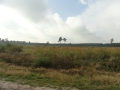 14-10-01 REUSEL (5)