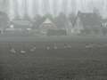 14-10-29 SPRANG-CAPELLE (22)