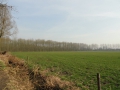 15-03-18 BORKEL  (05)