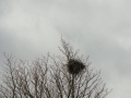 15-04-01 LANGENBOOM (04)