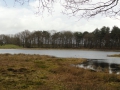 15-04-01 LANGENBOOM (14)
