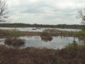 15-04-29 SPOORDONK (12)