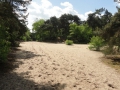 2015-05-13Best006