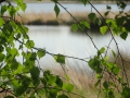 2015-05-13Best011