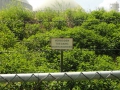 2015-05-13Best013
