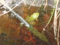 2015-05-13Best015
