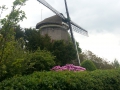 2015-05-27Ankeveen032