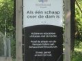 2015-06-10Oisterwijk003