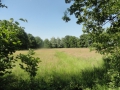 2015-06-10Oisterwijk010
