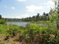 2015-06-10Oisterwijk011