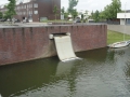 15-06-24 ROSMALEN (15)