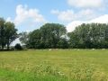2015-07-22Nieuwaal010 (Kopie)