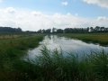 2015-07-22Nieuwaal013 (Kopie)