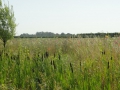 2015-08-05 Erichem010