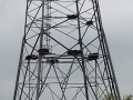 2011-11-11Rossum004 (Kopie)