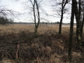 2016-01-06 Middelbeers 012