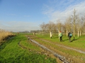 2016-01-20 Cuijk- Vianen010
