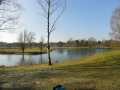 2016-02-17 Rijen 006