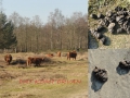 2016-02-17 Rijen 012