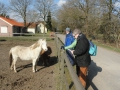 2016-03-16 Cromvoirt001