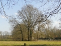 2016-03-16 Cromvoirt003