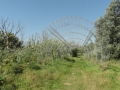 2016-08-17 Biesbosch 003