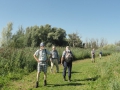 2016-08-17 Biesbosch 006