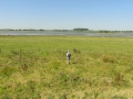 2016-08-17 Biesbosch 010