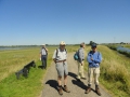 2016-08-17 Biesbosch 011