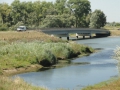 2016-08-17 Biesbosch 015