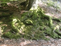 2016-09-13GrandWintersberg012 (Kopie)
