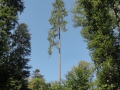 2016-09-13GrandWintersberg019 (Kopie)