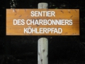 2016-09-15Fleckenstein003 (Kopie)