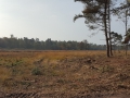 2016-10-26 Nijnsel 020 (Kopie)