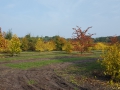 2016-10-26 Nijnsel 024 (Kopie)