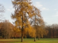 2016-11-23 Nijmegen 008