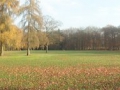 2016-11-23 Nijmegen 010
