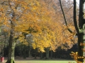 2016-11-23 Nijmegen 011