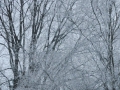 2017-01-18 Kaatsheuvel 001
