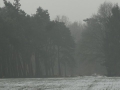 2017-01-18 Kaatsheuvel 010