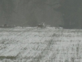 2017-01-18 Kaatsheuvel 013
