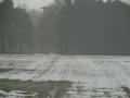 2017-01-18 Kaatsheuvel 014