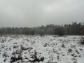 2017-01-18 Kaatsheuvel 015