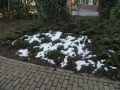 2017-02-15 Bemmel 005