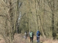 2017-02-15 Bemmel 008